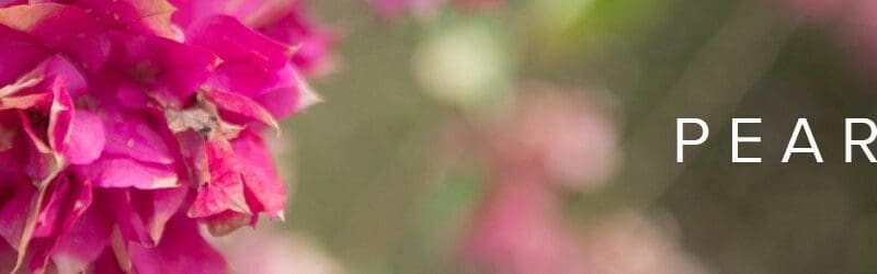 about hnp, gala event banner flowers