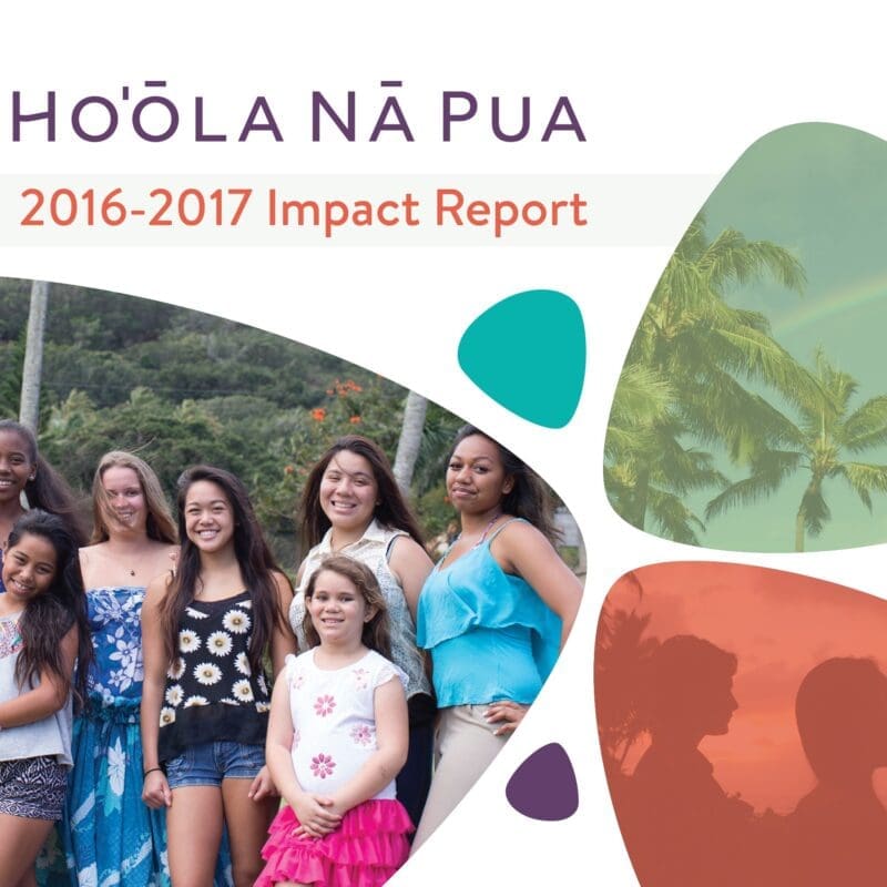 about hnp, hnp impact report cover